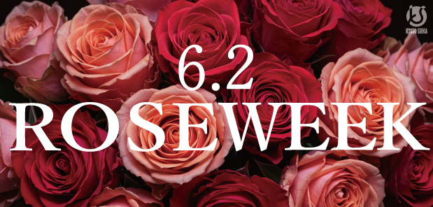 レッドローズ様予約分魚沼ひ